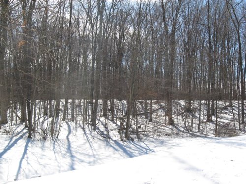 Property photo 41 - McAllister Estate Real Estate & Personal Property Auction